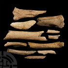 Natural History - British Bison Bone Group