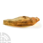 Natural History - Polished Copal with Insects