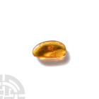 Natural History - Amber with Insect Inclusions