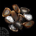 Natural History - Mixed Cut and Polished Agate Crystal Geode Half Group [10]