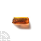 Natural History - Amber with Insect Inclusions