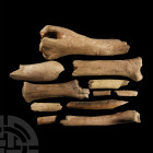 Natural History - British Bison Bone Group