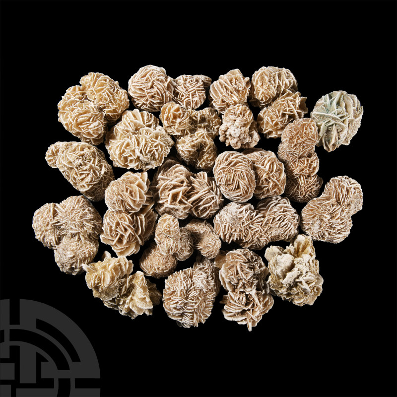 Natural History - Large Desert Rose Specimen Group [20]
Comprising intricate ro...