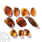Natural History - Amber Group with Insect Inclusions