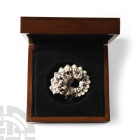 Natural History - British Fossil Ammonite
