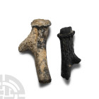 Natural History - Fossil Deer Antler Group