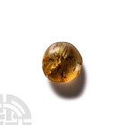 Natural History - Amber with Insect Inclusions