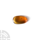 Natural History - Amber with Insect Inclusions