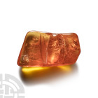 Natural History - Insect in Baltic Amber