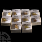 Natural History - Boxed Apatite Crystal Collection [10]