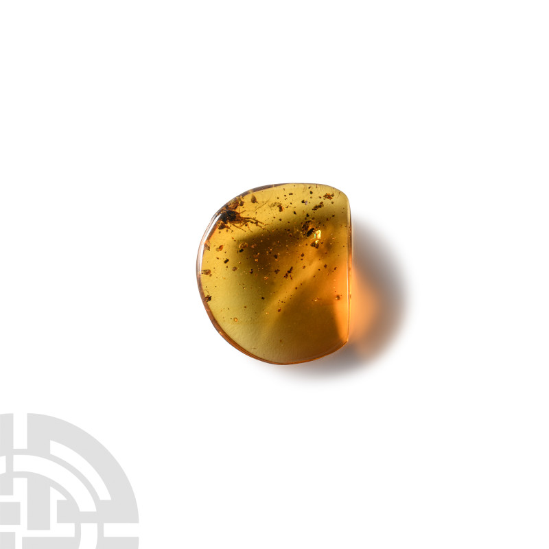 Natural History - Amber with Insect Inclusion
Oligocene Period, circa 45 millio...