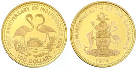 Ausländische Goldmünzen und -medaillen

Bahamas

Britisch, seit 1825

100 Dollars 1974, 2 Flamingos. 18,015 g. 500/1000. Auflage nur 4153 Ex. Po...