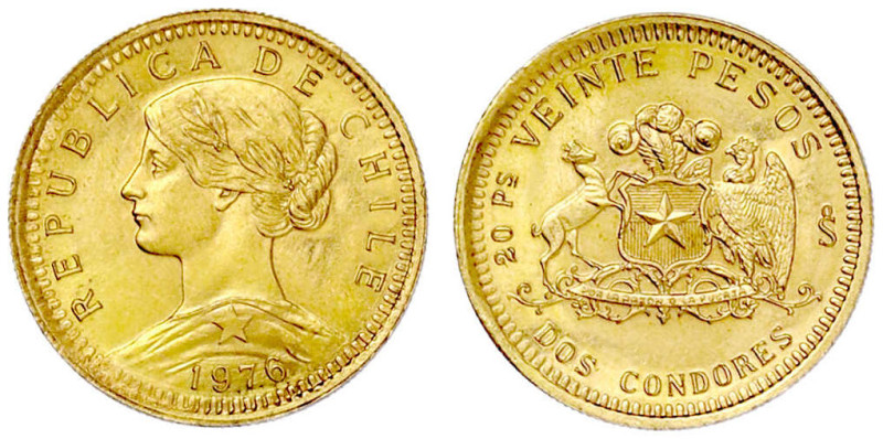 Ausländische Goldmünzen und -medaillen

Chile

Republik, seit 1818

20 Pes...