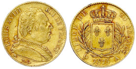 Ausländische Goldmünzen und -medaillen

Frankreich

Ludwig XVIII., 1814/1815-1824

20 Francs 1815 A, Paris. 6,45 g. 900/1000. sehr schön/vorzügl...