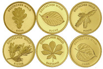 Goldmünzen der Bundesrepublik Deutschland

Euro, ab 2002

Komplettset mit 6 X 20 Euro Deutscher Wald: 2010 Eiche G, 2011 Buche J, 2012 Fichte F, 2...
