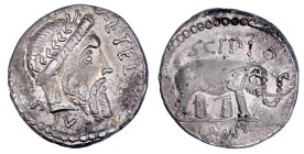 Römische Münzen

Römische Republik

Q. (Caecilius) Metellus Pius Scipio, 47/46 v.Chr

Denar 47/46 v. Chr. Q. METEL PIVS. Kopf des Jupiter r./SCI...