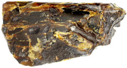 Varia

Bernstein

Großes Stück Naturbernstein, ca. 148 x 80 x 44 mm; 282,04 g