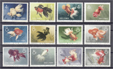 Briefmarken

Ausland

China

4 F - 8 F Zuchtform des Goldfisches 1960, kompletter Satz in postfrischer Erhaltung. Mi. 700,-€ Michel 534-545.