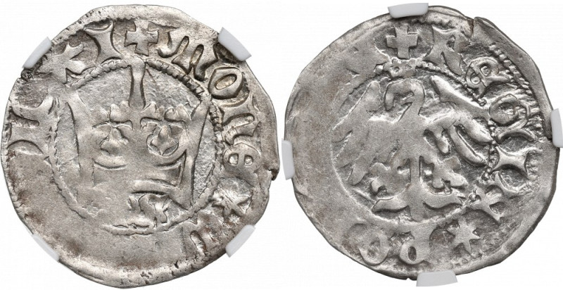 Vladislaus II, halfgroat - NGC MS63 Typ półgrosza z literami AS - Andrzeja Czarn...