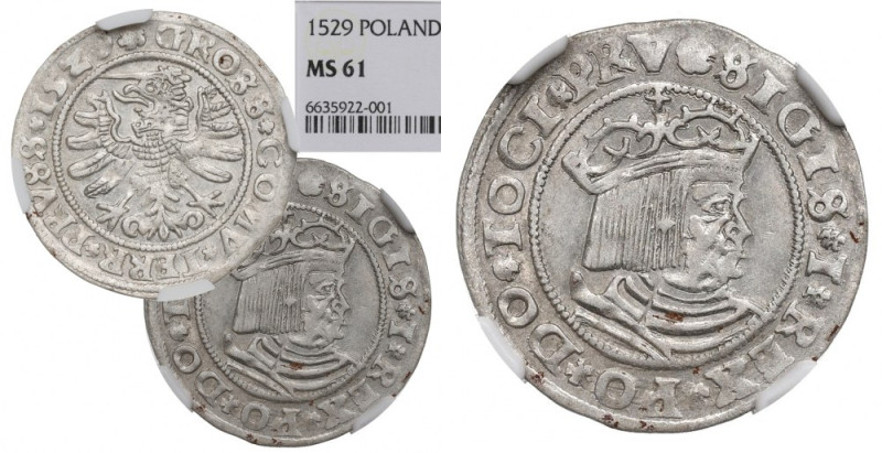 Sigismund I the Old, Groschen for Prussia 1529, Thorn - NGC MS61 Bardzo ładny eg...