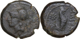 Greek Italy. Samnium, Southern Latium and Northern Campania, Cales. AE 19 mm, circa 276-260 BC. Obv. Head of Athena left, helmeted. Rev. Rooster stand...