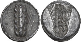 Greek Italy. Southern Lucania, Metapontum. AR Stater, 510-470 BC. Obv. Ear of barley; to right, lizard. Rev. Incuse ear of barely. HN Italy 1483; HGC ...