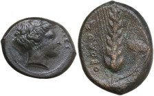 Greek Italy. Southern Lucania, Metapontum. AE Obol, 400-340 BC. Obv. Head of Demeter right, wearing wreath of grain. Rev. Ear of barley; to right, pop...