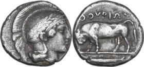 Greek Italy. Southern Lucania, Thurium. AR Stater, 443-400 BC. Obv. Head of Athena right, wearing helmet decorated with wreath. Rev. Bull walking left...
