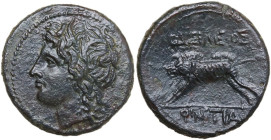 Sicily. Akragas. Phintias, Tyrant (287-278 BC). AE 21 mm. Obv. Laureate head of Apollo left. Rev. Boar left. CNS I 117; HGC 2 170. AE. 5.73 g. 21.50 m...