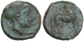 Sicily. Eryx. AE 14 mm, 400-340 BC. Obv. Female head right. Rev. Horse standing right. HGC 2 325; CNS I 16. AE. 3.45 g. 14.00 mm. Dark green patina. A...