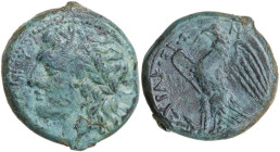 Sicily. Syracuse. Hiketas (287-278 BC). AE 23 mm. Obv. Laureate head of Zeus Hellanios left. Rev. Eagle standing left on thunderbolt, wings open; to l...
