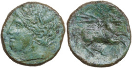Sicily. Syracuse. Hieron II (274-215 BC). AE 23 mm. Obv. Head of Persephone left, wearing wreath of grain. Rev. Pegasus flying right. CNS II 201. AE. ...