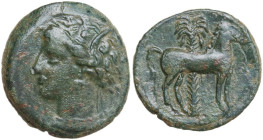 Punic Sicily. AE 16 mm, late 4ht-early 3rd century BC. Obv. Head of Tanit left, wearing wreath of grain. Rev. Horse standing right in front of palm tr...
