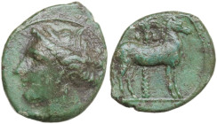 Punic Sicily. AE 15 mm, late 4ht-early 3rd century BC. Obv. Head of Tanit left, wearing wreath of grain. Rev. Horse standing right in front of palm tr...