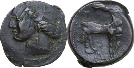 Punic Sardinia. AE 29 mm, 221-202 BC. Obv. Head of Tanit left; wearing wreath of grain; underneath: Head of horse right; to right, Punic letter. Rev. ...