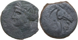 Punic Sardinia. AE 27 mm, 300-264 BC. Obv. Head of Tanit left, wearing wreath of grain. Rev. Head of horse right; below chin, palm tree. SNG Cop. 173....