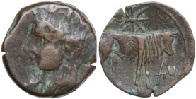 Punic Sardinia. AE 18 mm, 216-215 BC. Obv. Head of Tanit left, wearing wreath of grain. Rev. Bull standing right; above, star; to right, Punic lettes....