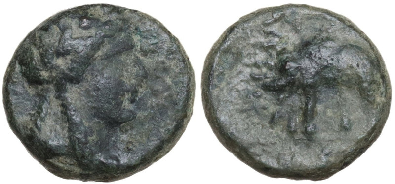 Greek Asia. Seleucid Kings. Antiochos III Megas (223-187 BC). AE 12 mm, Sardeis ...