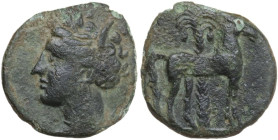 Africa. Zeugitania, Carthage. AE 13 mm., late 4th to early 3rd century BC. Obv. Head of Tanit left, wearing wreath. Rev. Horse standing right in front...