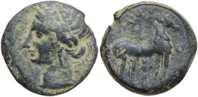 Africa. Zeugitania, Carthage. AE 20 mm, 210-202 BC. Obv. Head of Tanit left, wearing wreath of grain. Rev. Horse standing right in front of palm-tree;...