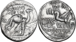 M. Aemilius Scaurus with Pub. Plautius Hypsaeus. AR Denarius, 58 BC. Obv. Camel right; before, King Aretas kneeling right, holding reins in left hand ...
