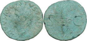 Divus Augustus (died 14 AD). AE As, Rome mint, struck under Tiberius, 34-37. Obv. DIVVS AVGVSTVS PATER. Head of Augustus, radiate, left. Rev. S C. Win...