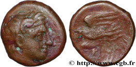 EGYPT - LAGID OR PTOLEMAIC KINGDOM - PTOLEMY I SOTER
Type : Hemichalque 
Date : c. 311-305 AC. 
Mint name / Town : Alexandrie, Égypte 
Metal : copper ...