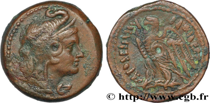 EGYPT - LAGID OR PTOLEMAIC KINGDOM - PTOLEMY V EPIPHANES
Type : Obole 
Date : c....