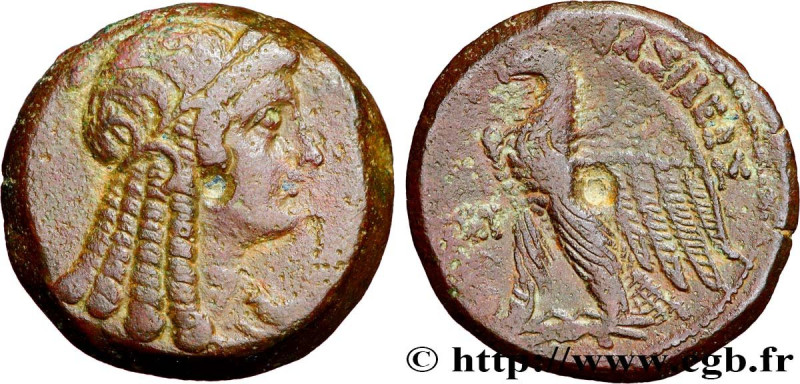 EGYPT - LAGID OR PTOLEMAIC KINGDOM - PTOLEMY VI PHILOMETOR
Type : Trihemiobole 
...