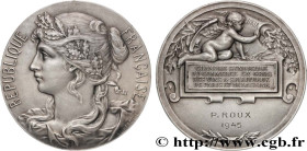 PROVISIONAL GOVERNEMENT OF THE FRENCH REPUBLIC
Type : Médaille, Chambre Syndicale du Commerce en Gros des vins et spiritueux 
Date : 1945 
Metal : sil...