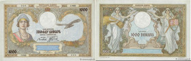 Country : YUGOSLAVIA 
Face Value : 1000 Dinara Numéro spécial 
Date : 01 décembre 1931 
Period/Province/Bank : Banque Nationale, Royaume de Yougoslavi...