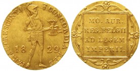 Ausländische Goldmünzen und -medaillen Niederlande Willem I., 1815-1840
Dukat 1829. Utrecht. 3,45 g.
vorzüglich/Stempelglanz, winz. Kratzer