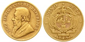Ausländische Goldmünzen und -medaillen Südafrika Zuid-Afrikanische Republik 1892-1900
Pond 1896. Single shaft wagon tongue. 7,84 g. 917/1000
schön/s...