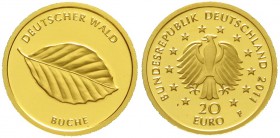 Goldmünzen der Bundesrepublik Deutschland Euro Gedenkmünzen, ab 2002
20 Euro Deutscher Wald 2011 F. Buche. 1/8 Unze Feingold.
Stempelglanz